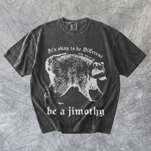 Jimothy the Racoon Graphic Tshirt, Funny Seattle Washington Meme, Local Cryptid 90s Galaxy Moon Shirt